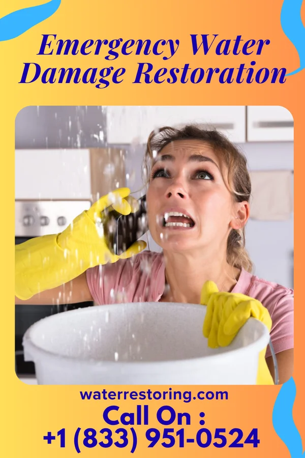 Emergency Water Damage Restoration in Redfield, AR