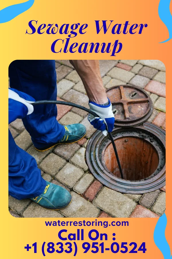 Sewage Water Cleanup in Redfield, AR